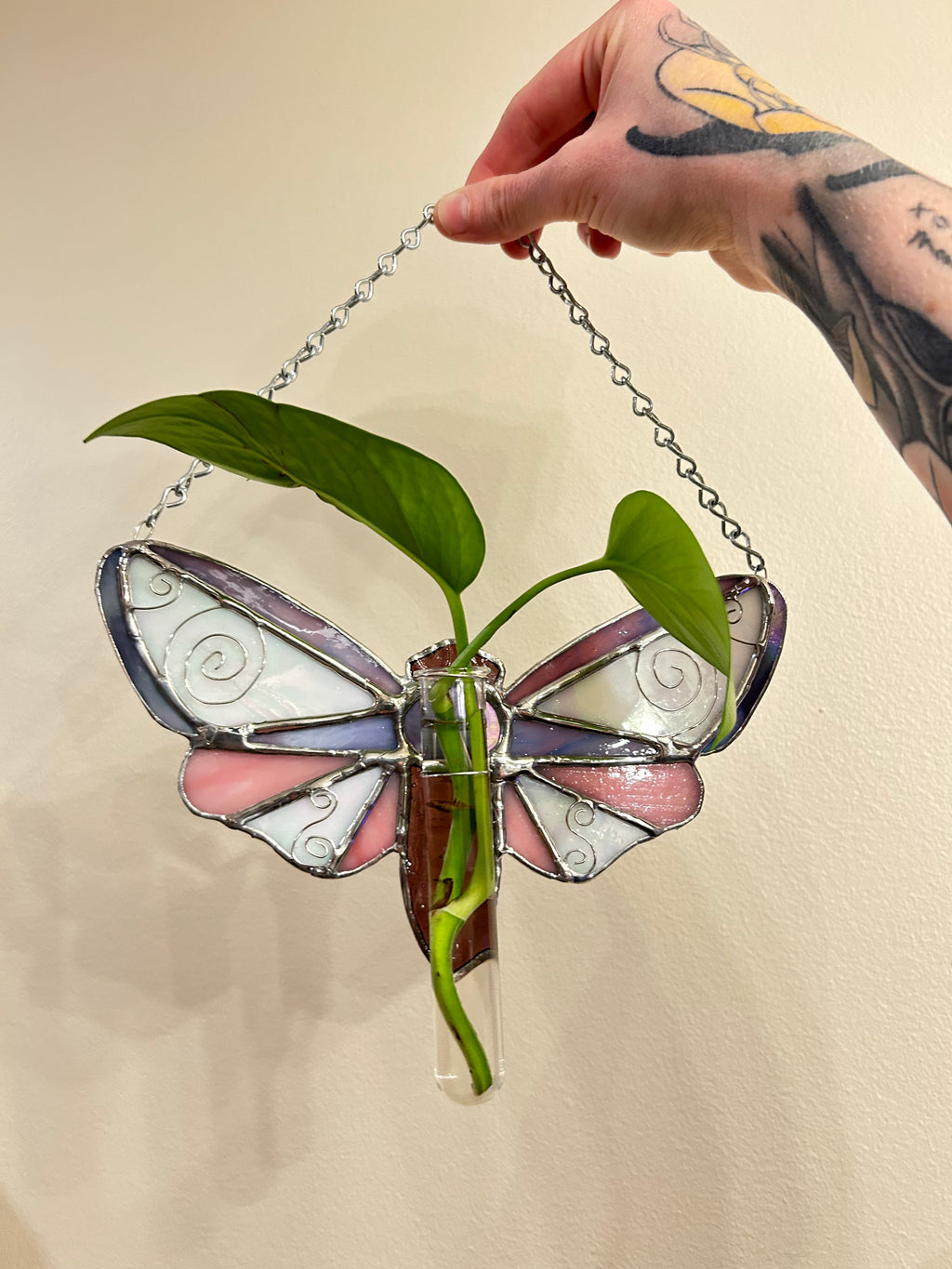 Plant Propagation Whimsy Moth