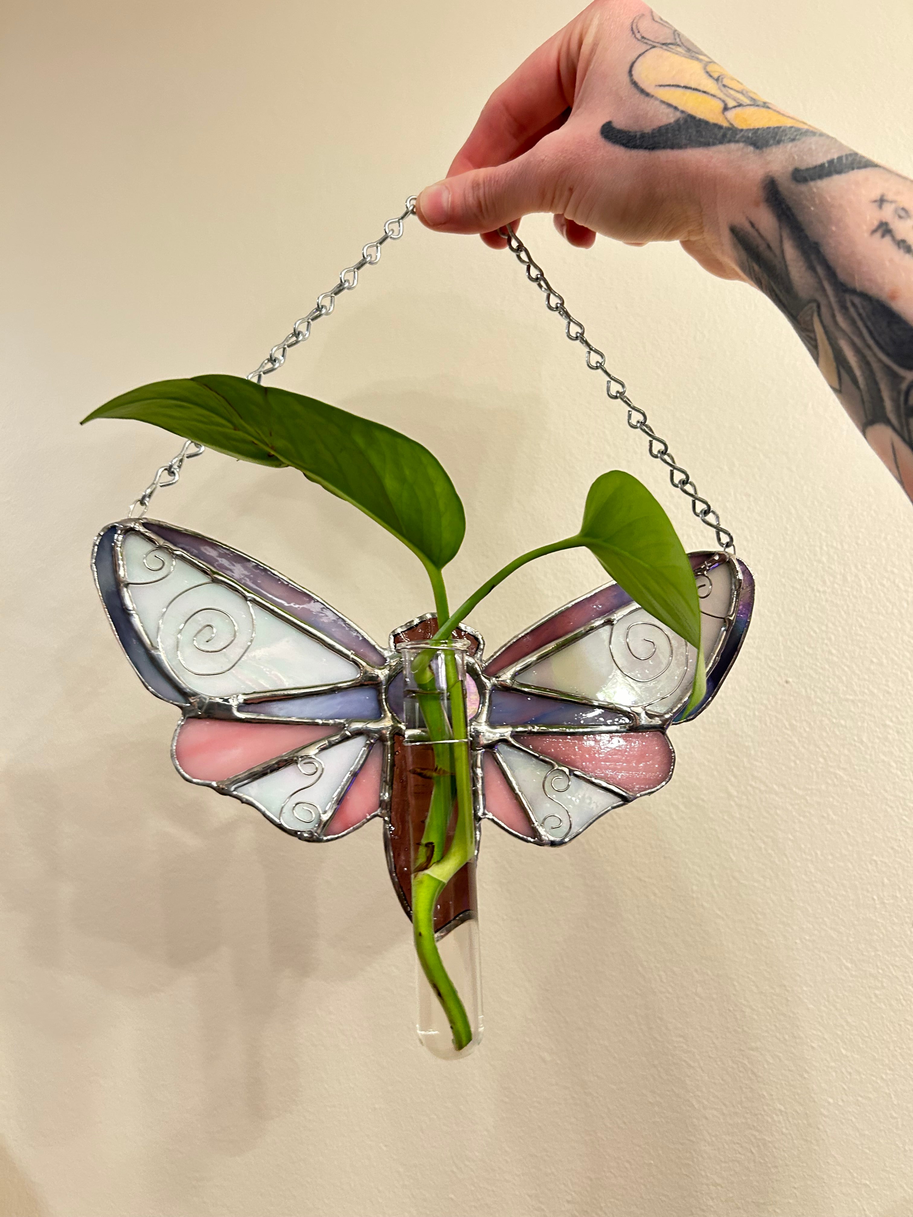 Plant Propagation Whimsy Moth