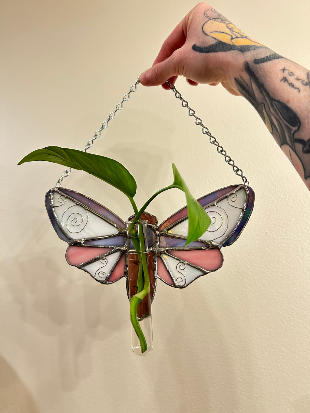 Plant Propagation Whimsy Moth