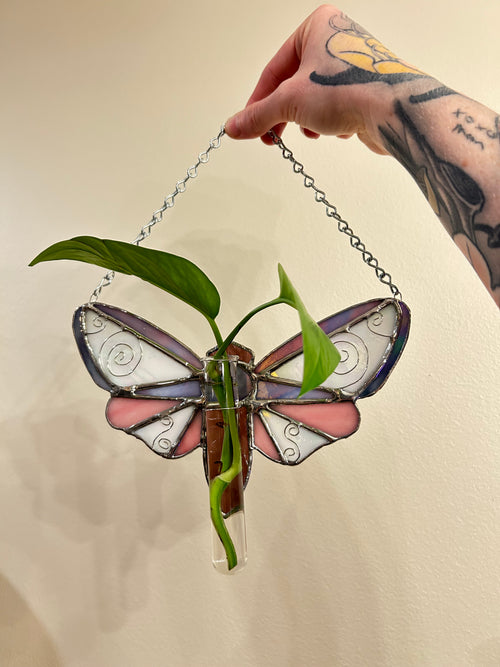 Plant Propagation Whimsy Moth