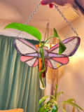 Plant Propagation Whimsy Moth
