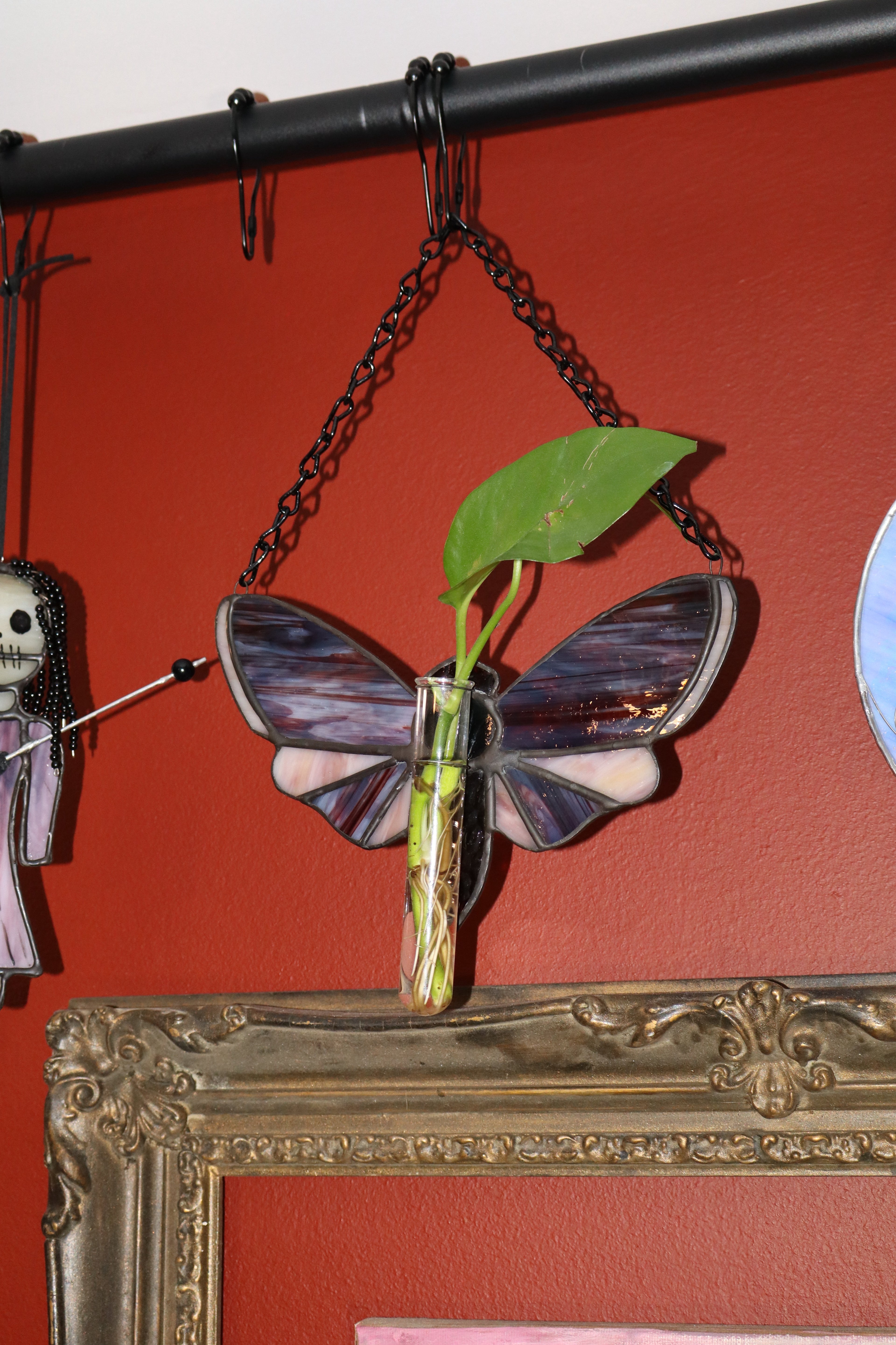 Stained Glass Moth with Plant Propagation