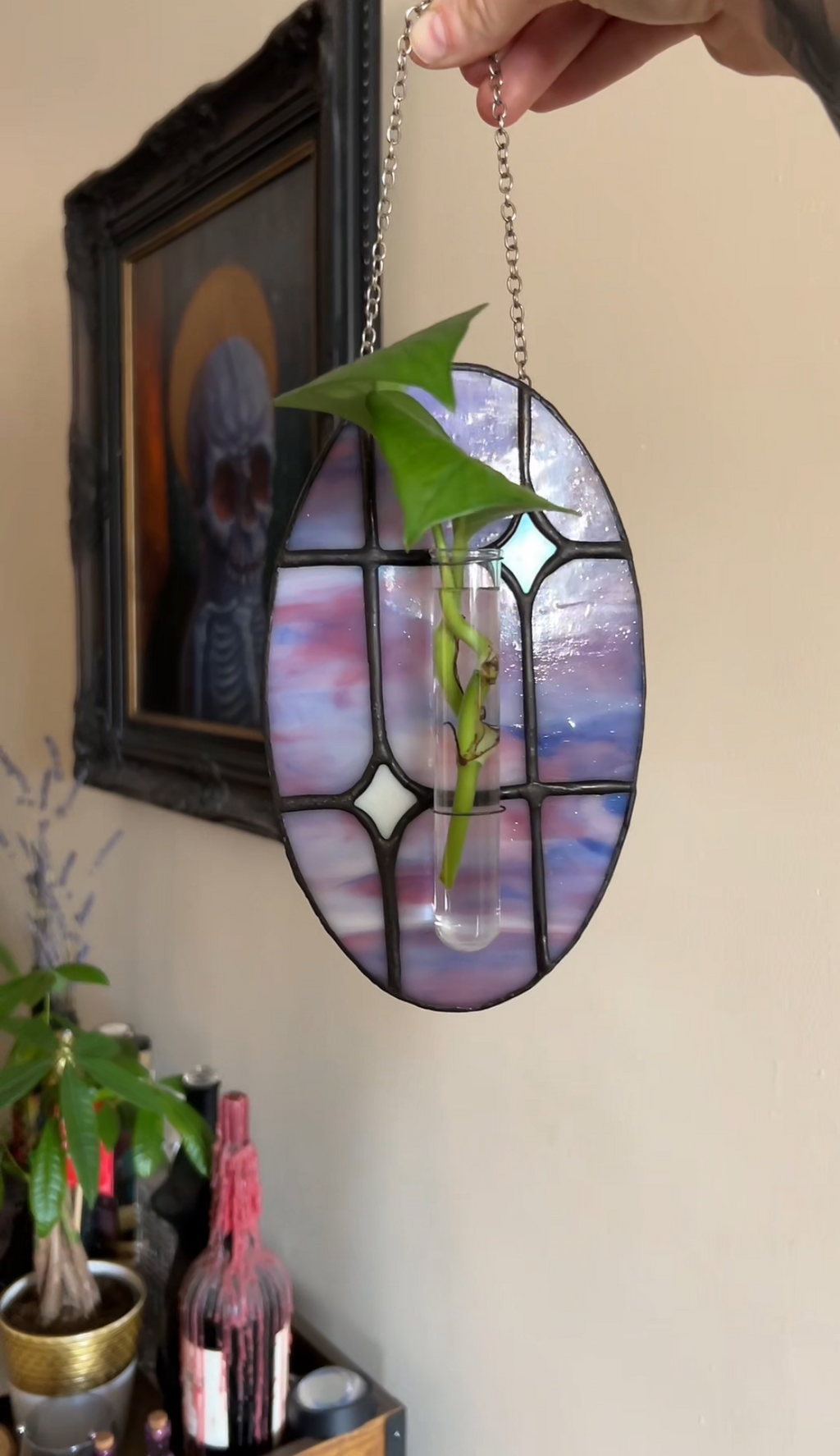 Stained Glass Plant Propagation