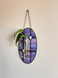 Stained Glass Plant Propagation