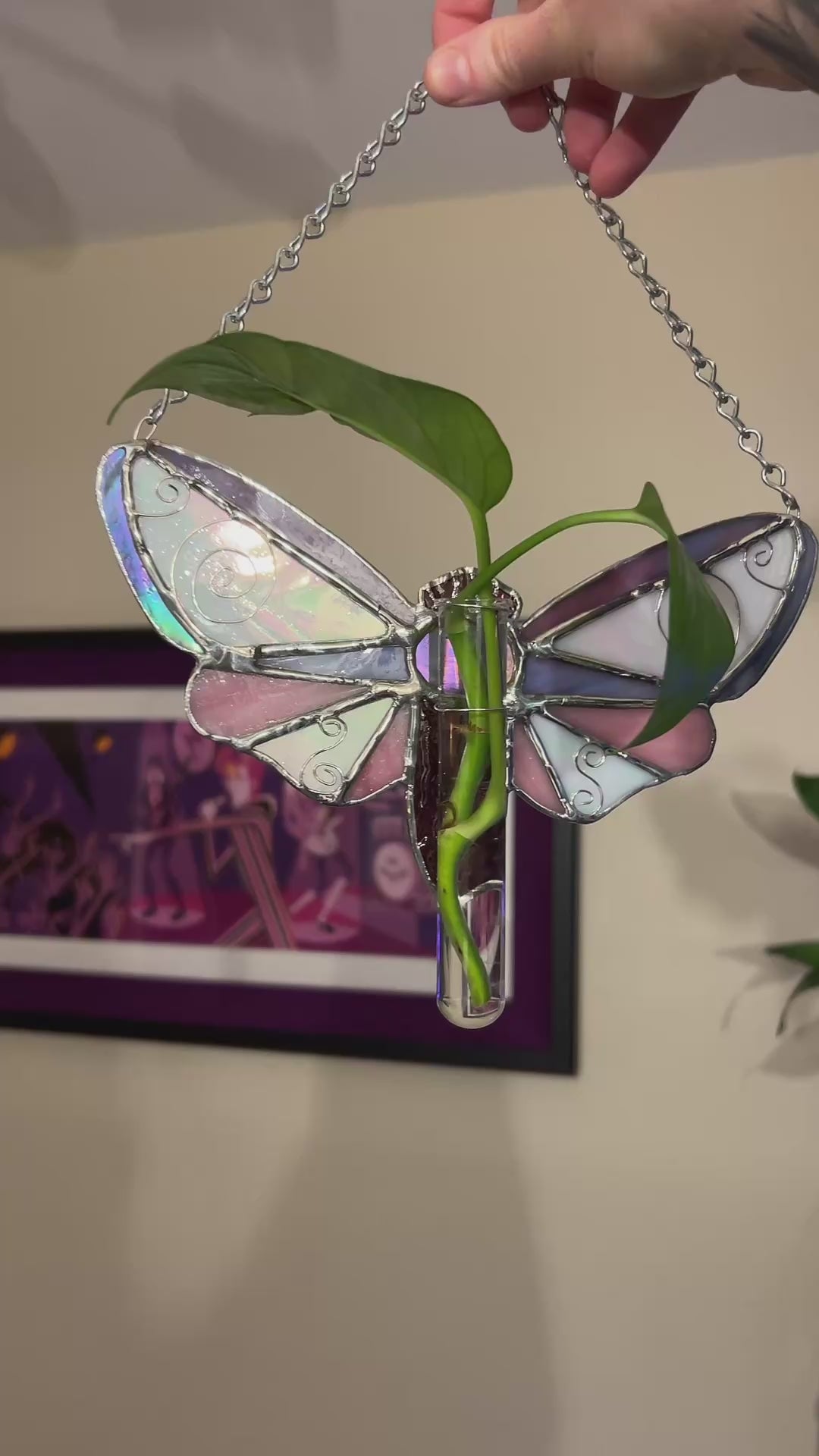 Plant Propagation Whimsy Moth